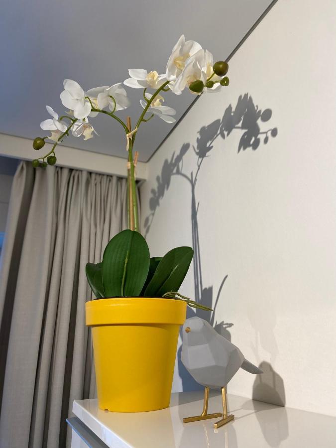 Moderne Studio Aan Zee Appartement *
